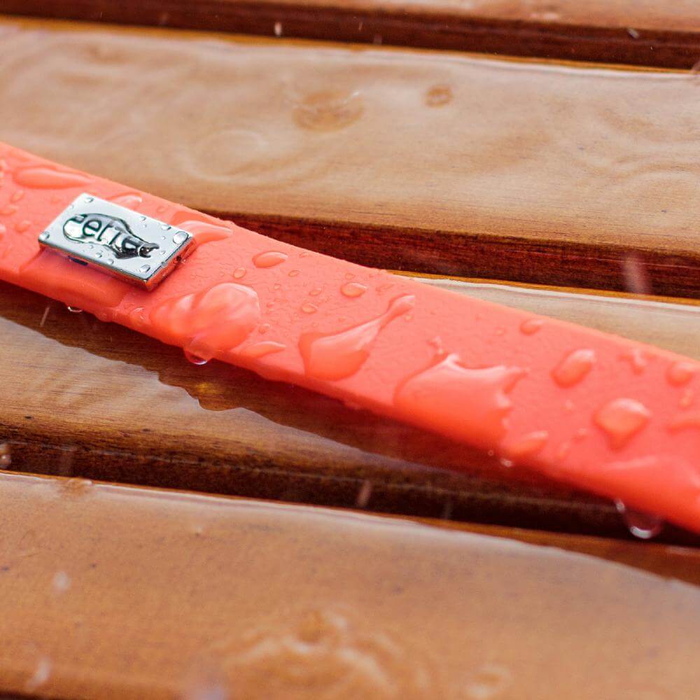 PetTec Führleine aus veganem Trioflex, orange