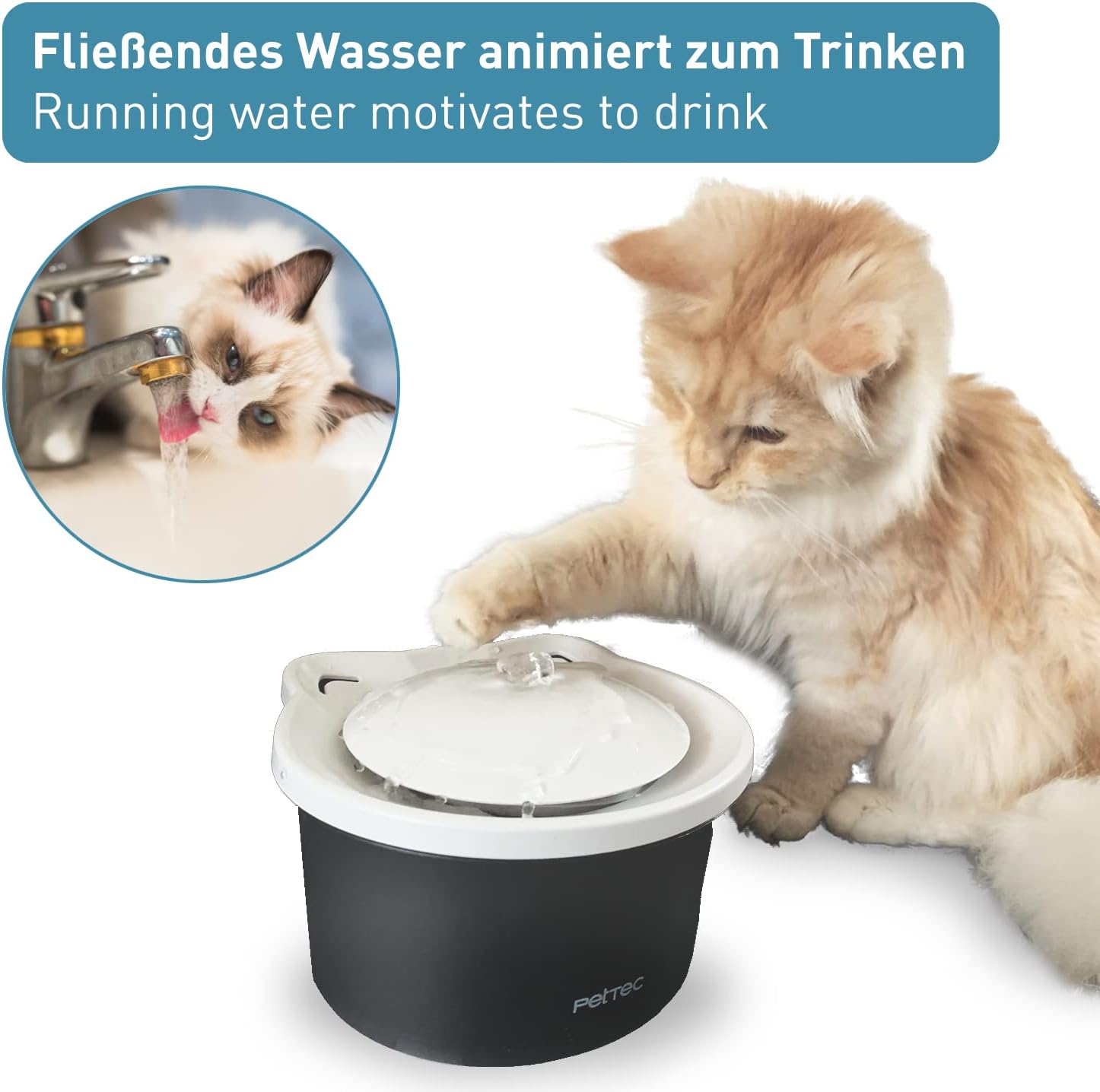 PetTec Wasser-Trinkbrunnen für Katzen - B-Ware