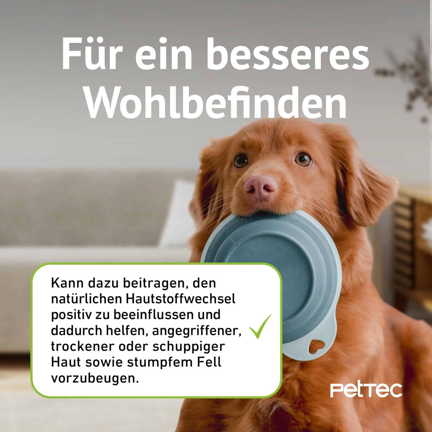 PetTec Omega-3 Algenöl-Mischung für Hunde, Katzen & Pferde