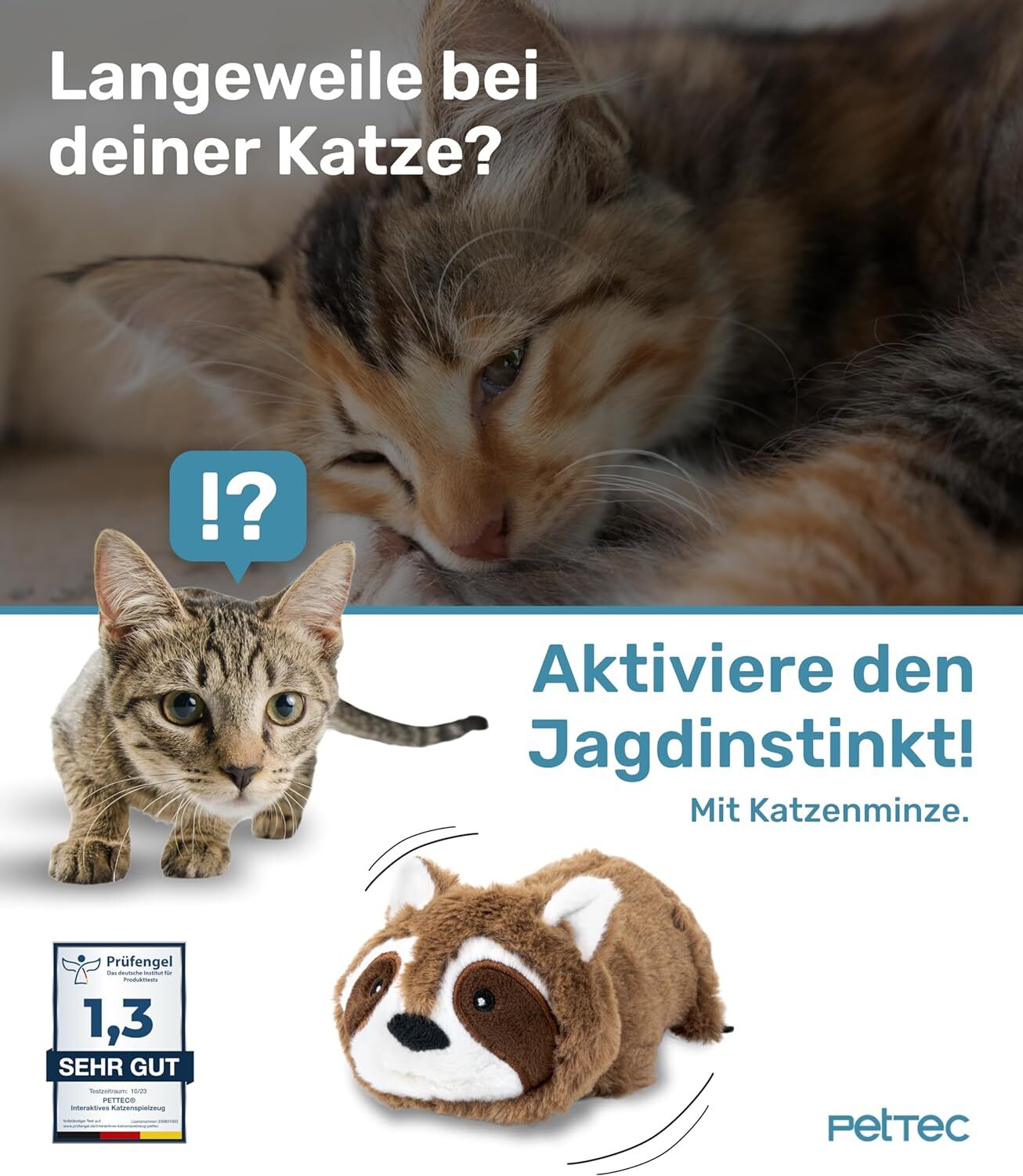 PetTec interaktives Plüschtier für Katzen - Waschbär
