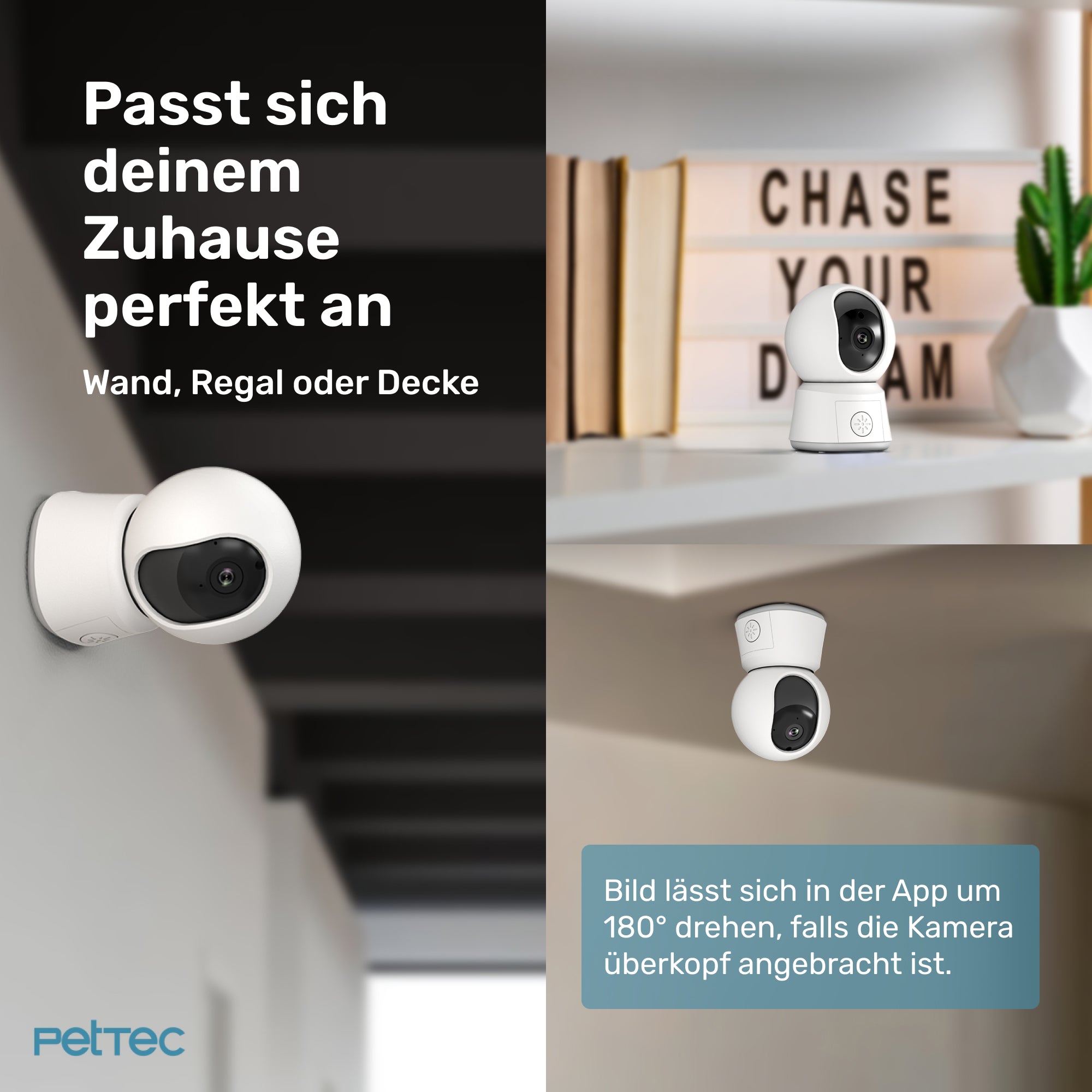Pet Cam Laser
