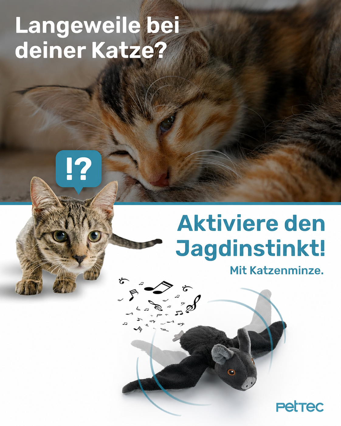 PetTec interaktives Plüschtier für Katzen - Fledermaus