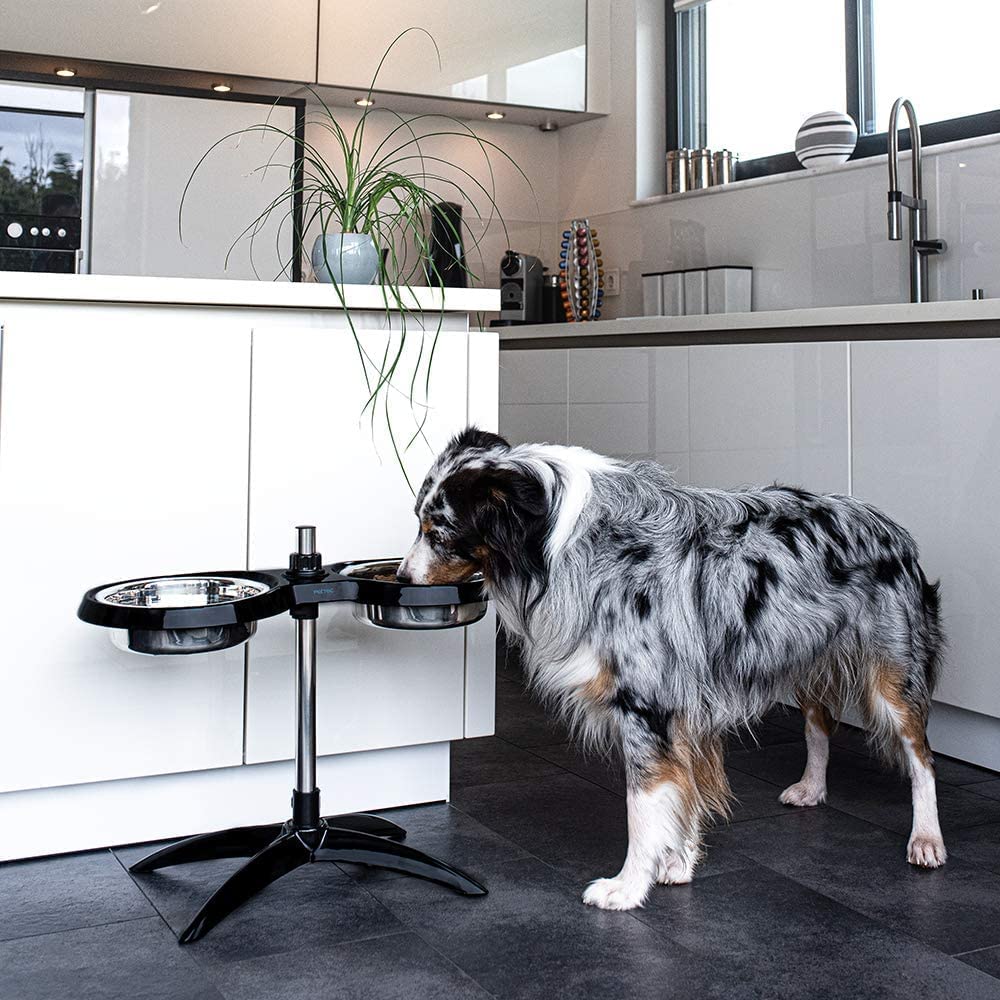 PetTec Doggy Bar Schwarz