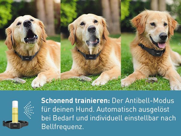 PetTec Anti-Bark Spray and Sound Trainer Pro incl. Citronella Spray - B-Ware