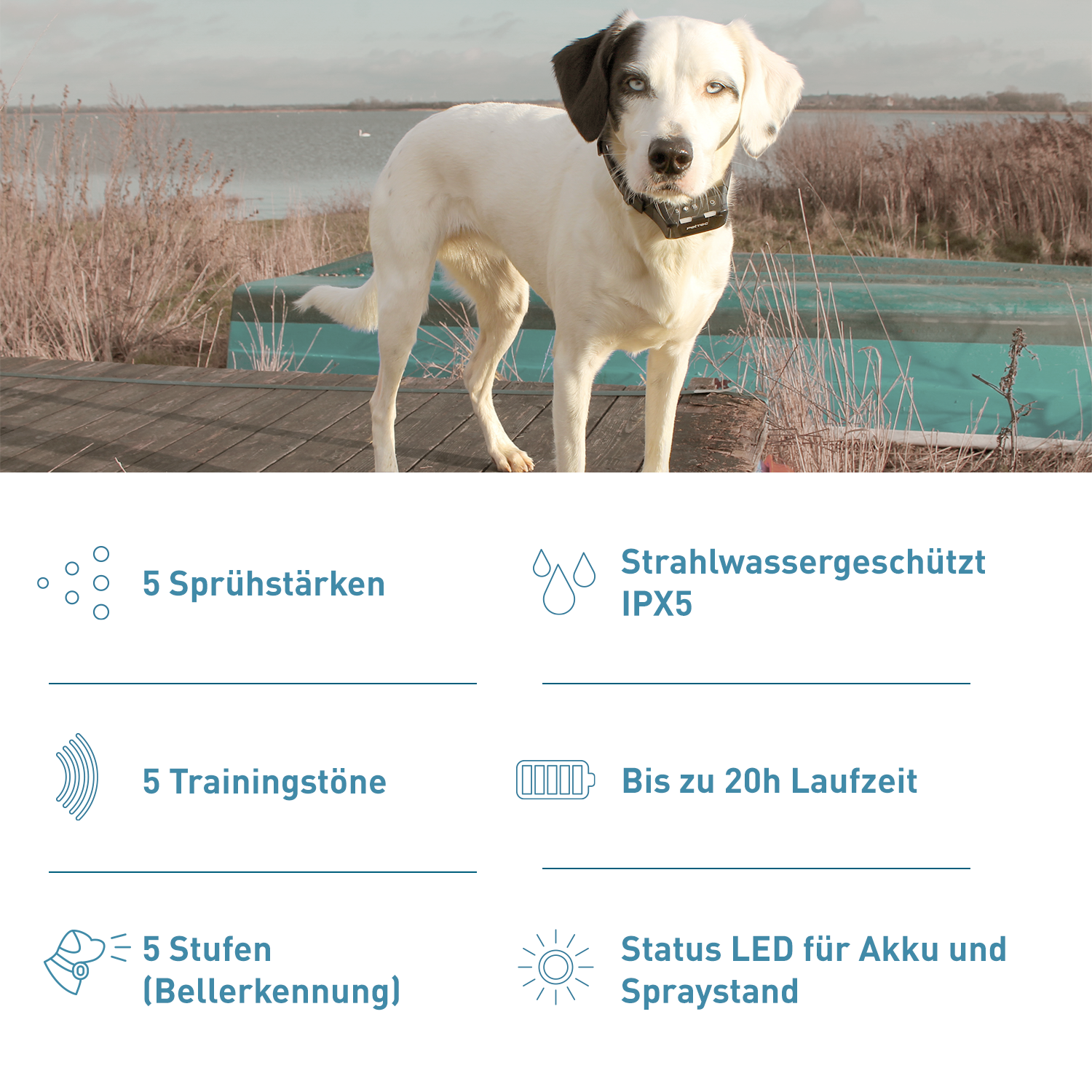 PetTec Antibell Spray- und Ton Trainer Pro inkl. Citronella-Spray