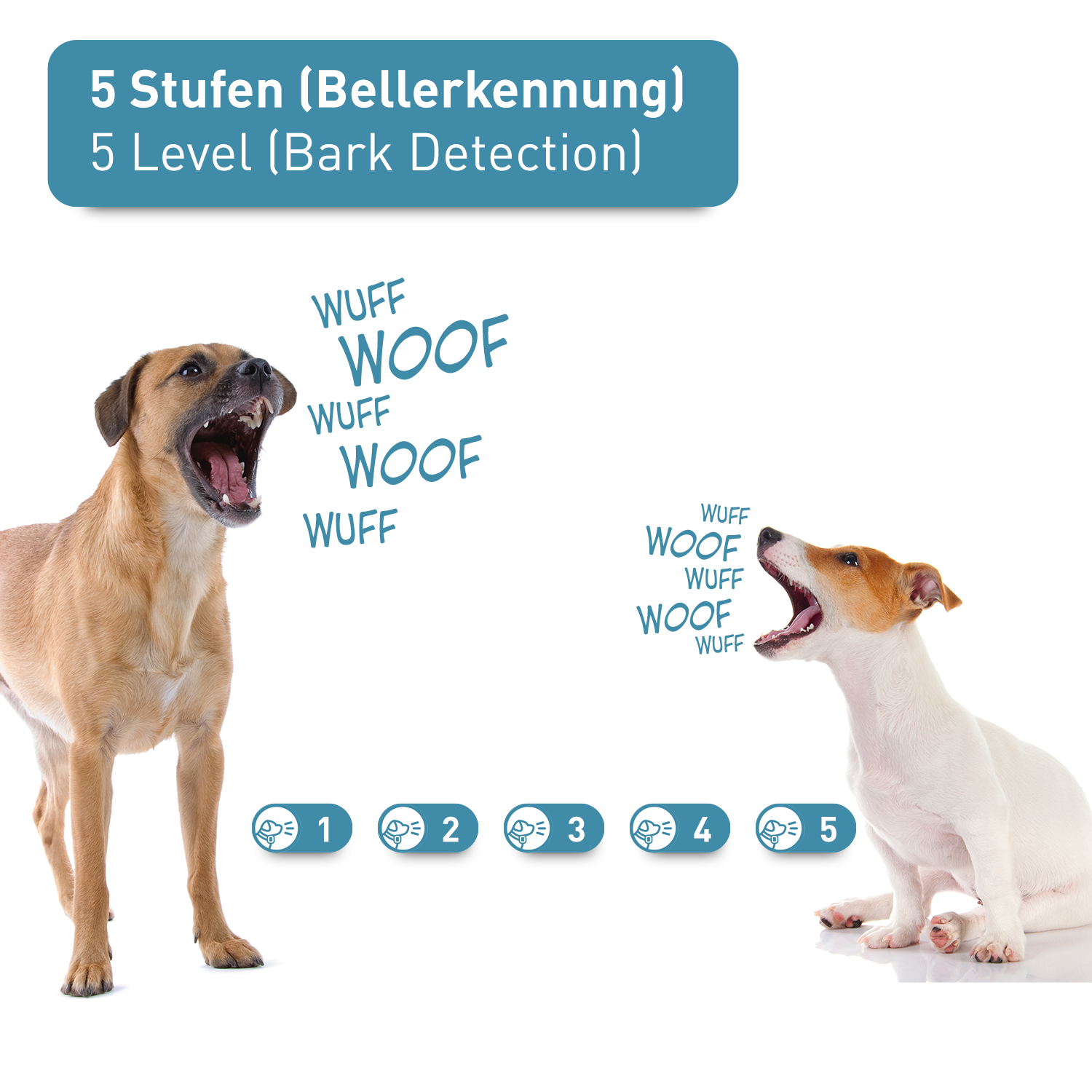 PetTec Ton & Vibra Multi-Trainer mit Fernbedienung