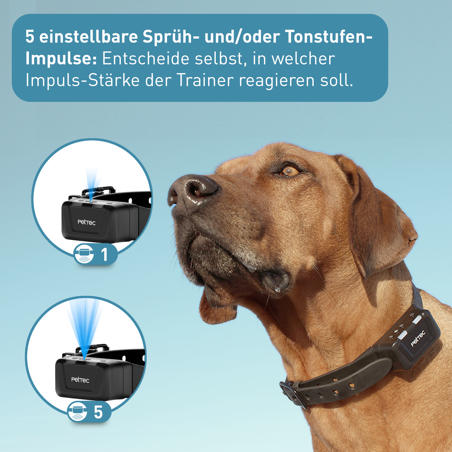 PetTec Antibell Spray- und Ton Trainer Pro inkl. Citronella-Spray