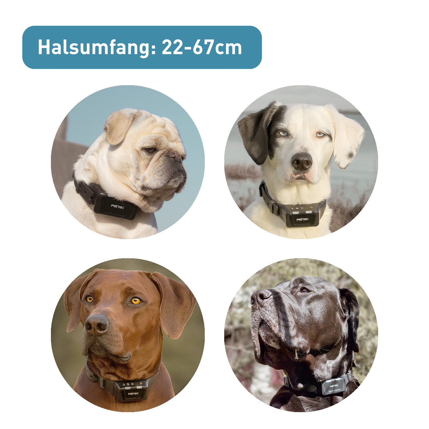 PetTec Ton & Vibra Multi-Trainer mit Fernbedienung