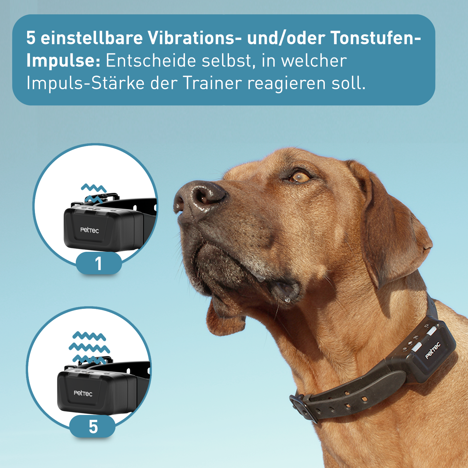 PetTec Ton & Vibra Multi-Trainer mit Fernbedienung
