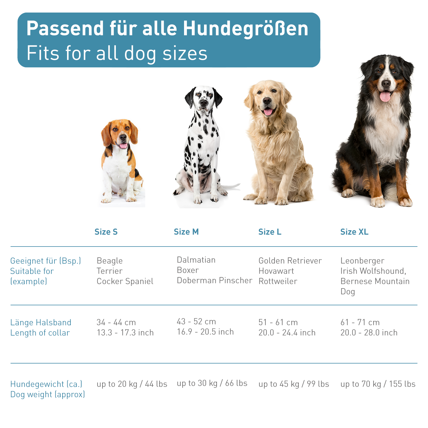 PetTec Hundehalsband aus Neopren & Nylon mit reflektierenden Nähten, rot