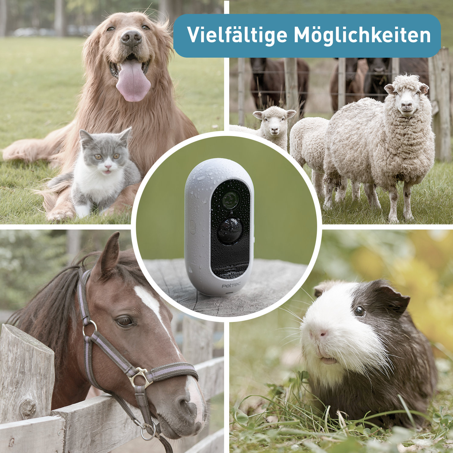 Überwachungskamera Free für Indoor & Outdoor