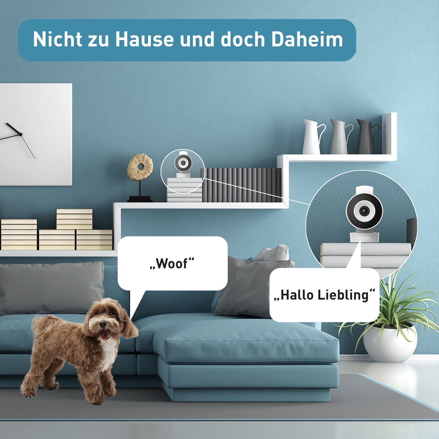 PetTec Cam Lite - B-Ware