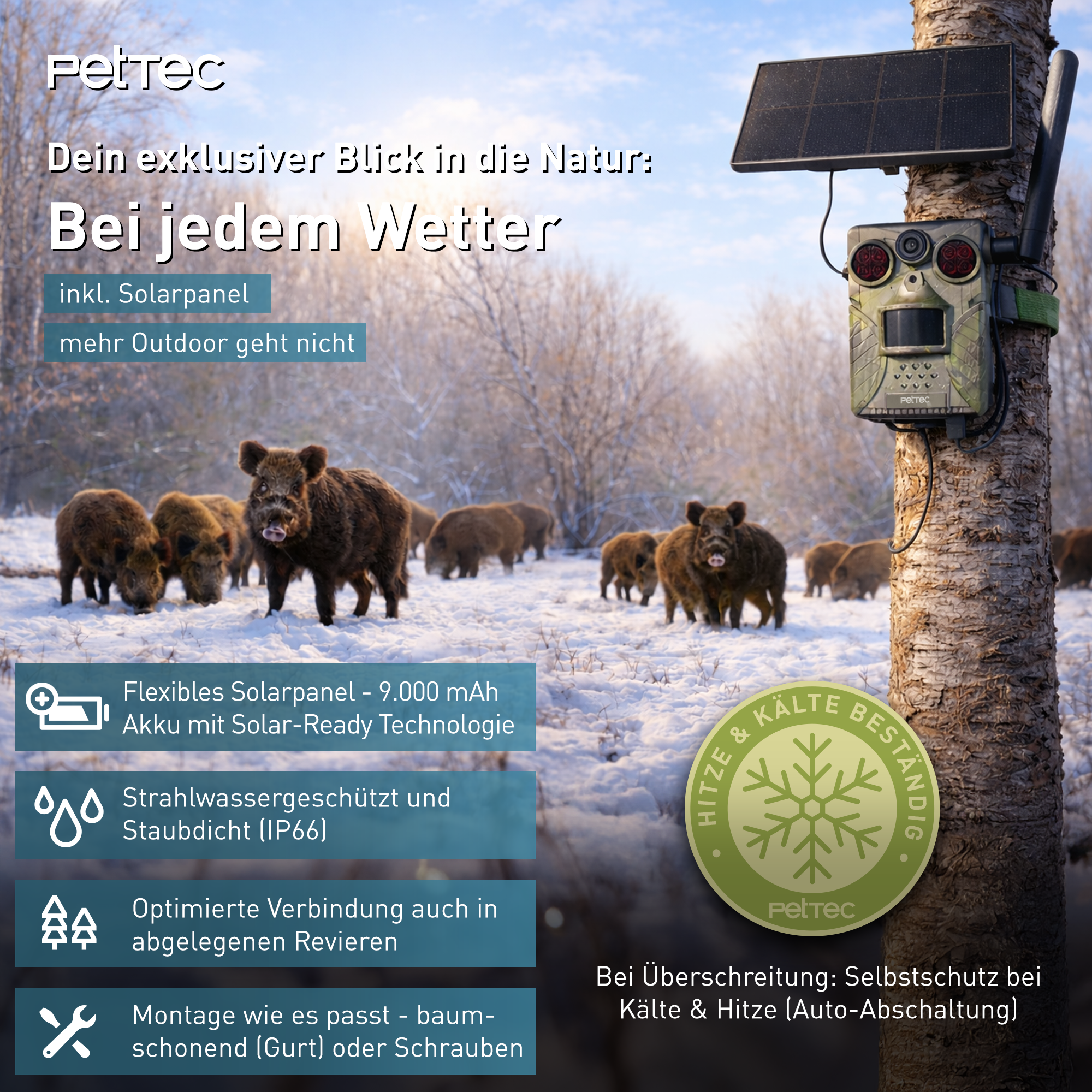 Pet Cam Trail 4G mit Solar Panel
