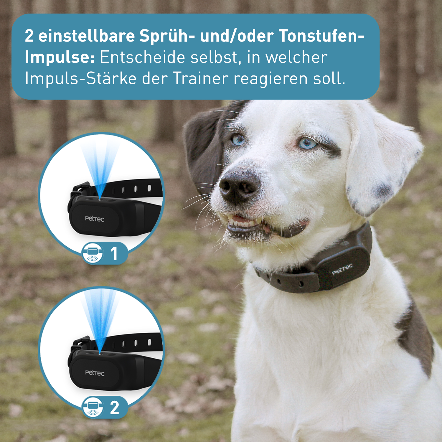 PetTec Spray & Ton Trainer mit Fernbedienung inkl. Citronella-Spray