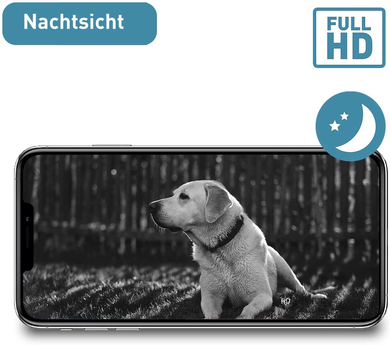 Überwachungskamera Free für Indoor & Outdoor