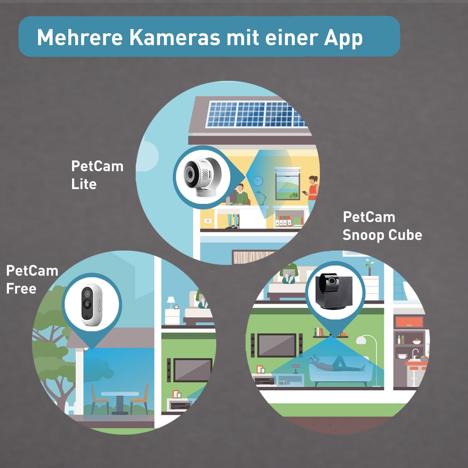 Überwachungskamera Free für Indoor & Outdoor