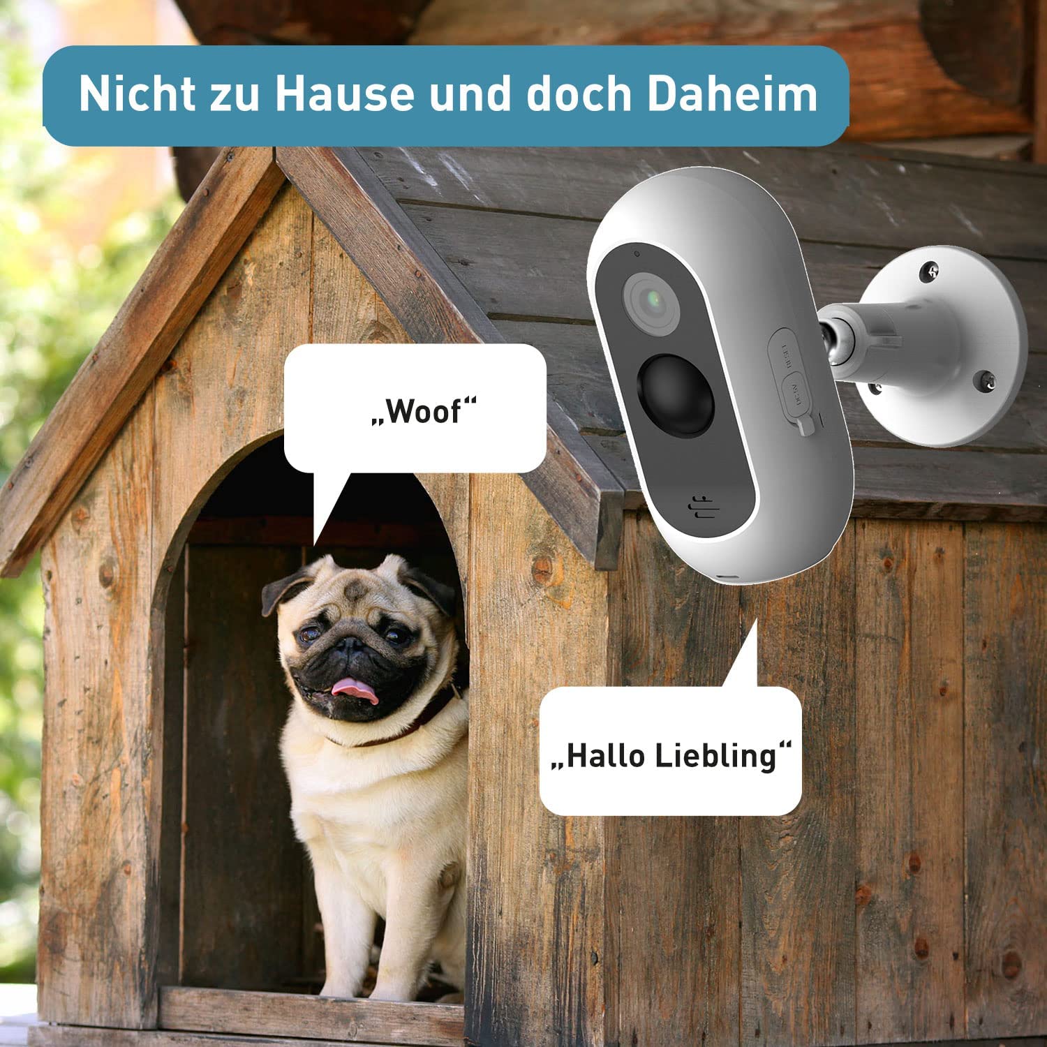 Überwachungskamera Free für Indoor & Outdoor