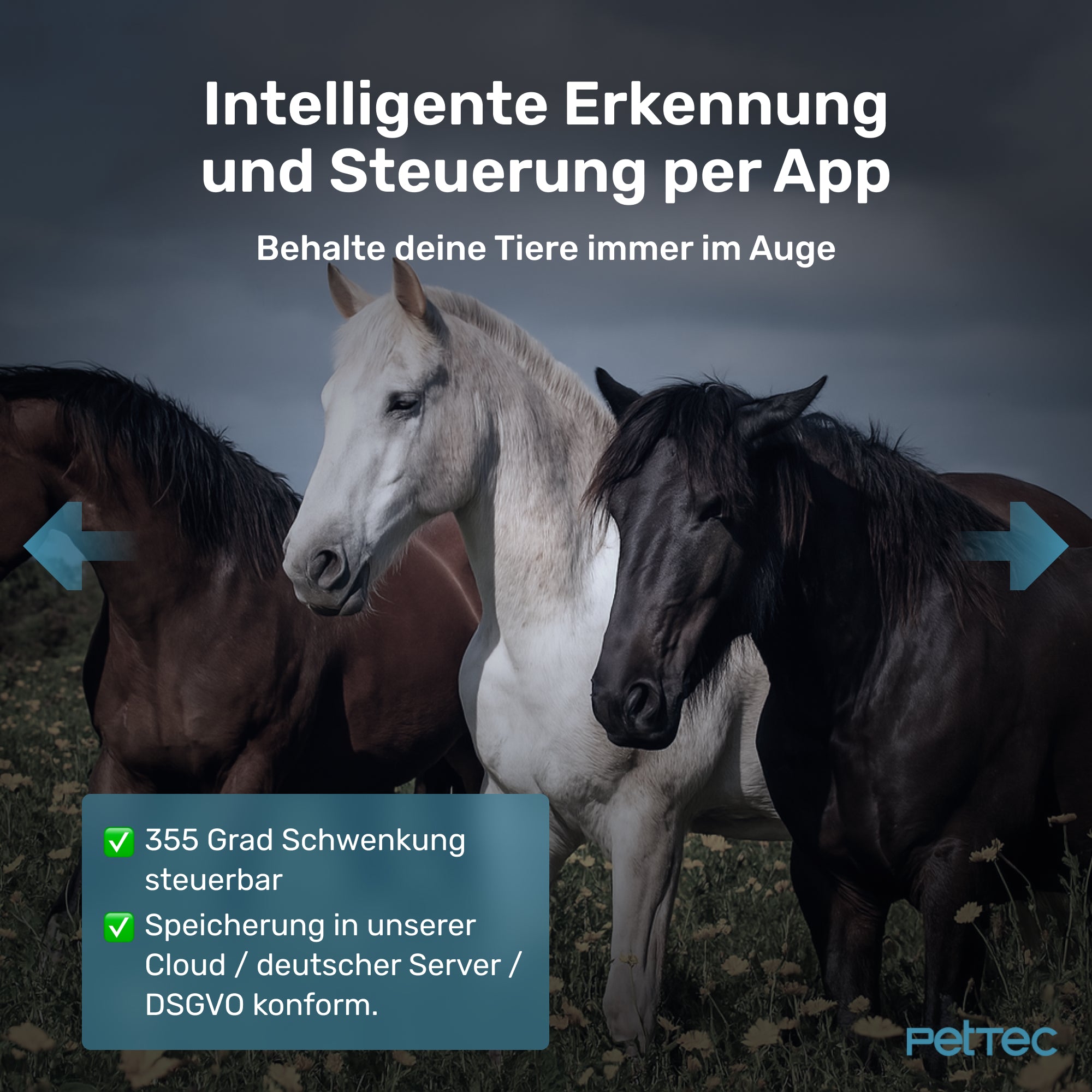 PetTec Cam Free 4G/LTE