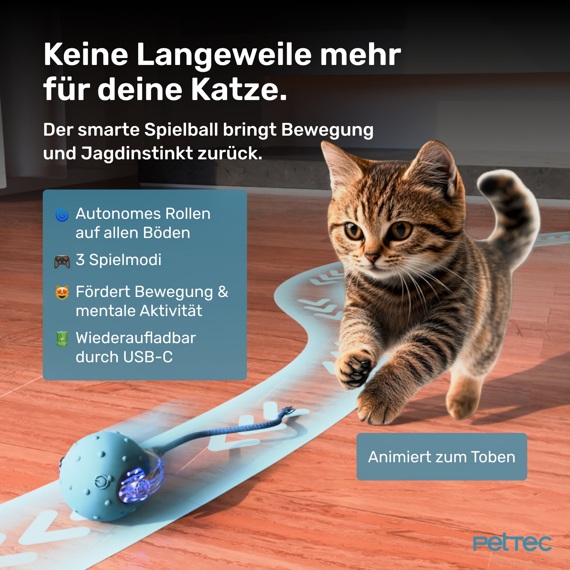 Pet Toy Interactive Balls - 2er Set