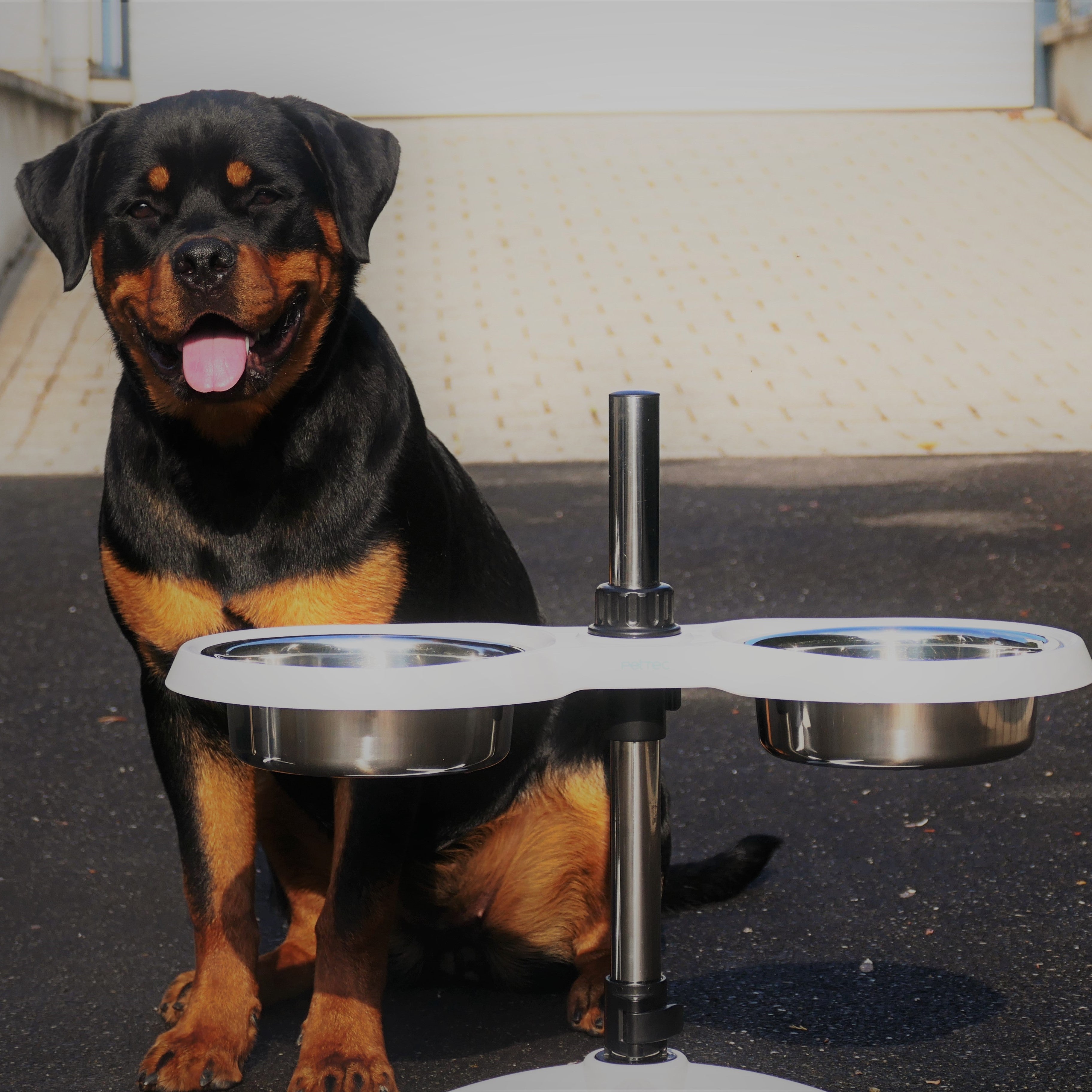 PetTec Doggy Bar Weiß