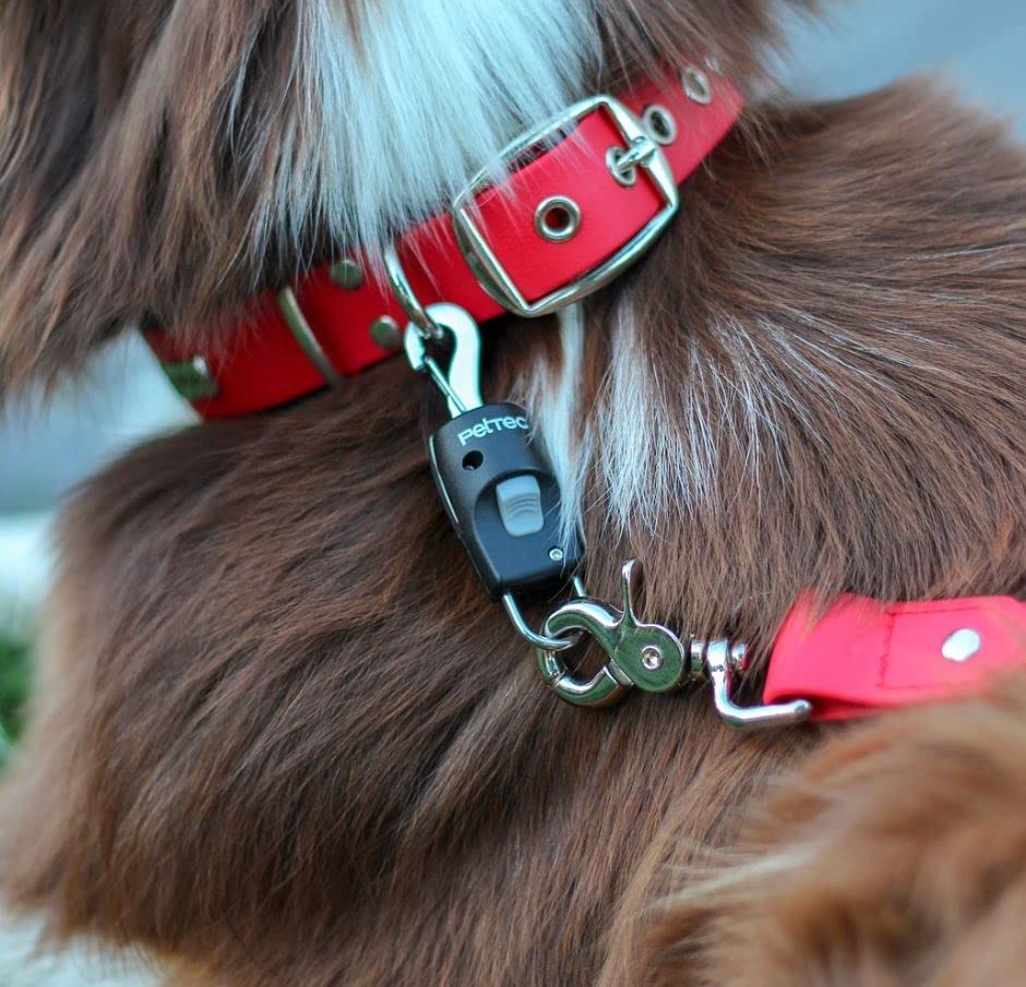 PetTec Quick Connector | Magnetisches Anlein-klick-System