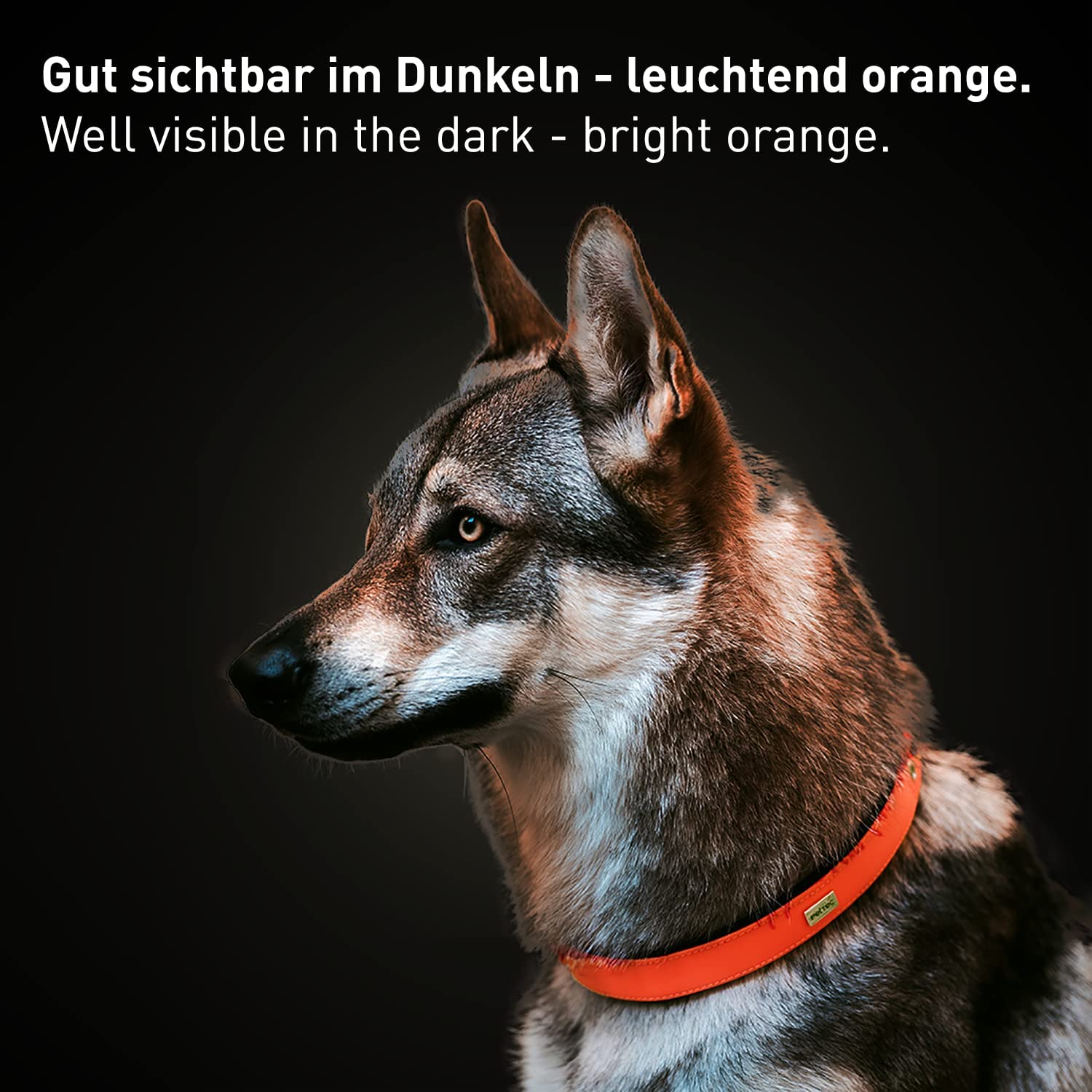 PetTec Halsband aus veganem Trioflex®, orange