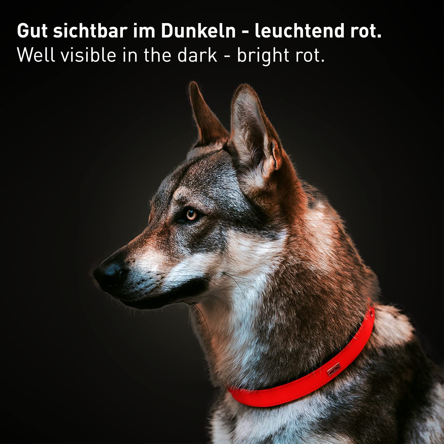 PetTec Halsband aus veganem Trioflex®, rot