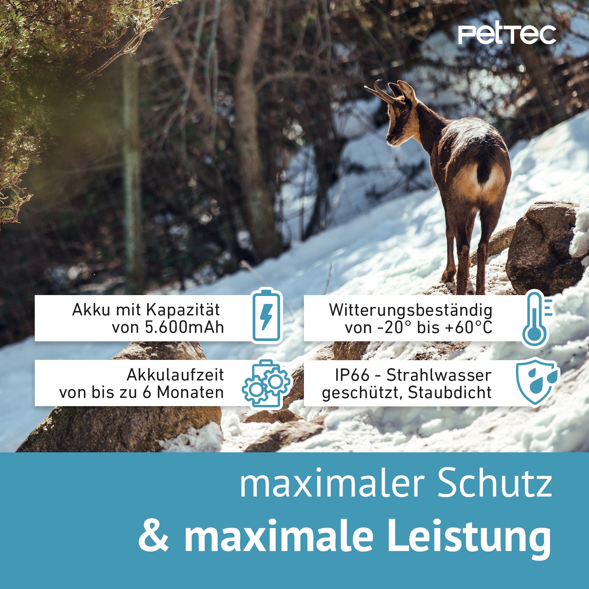 PetTec Cam Trail - Wildkamera