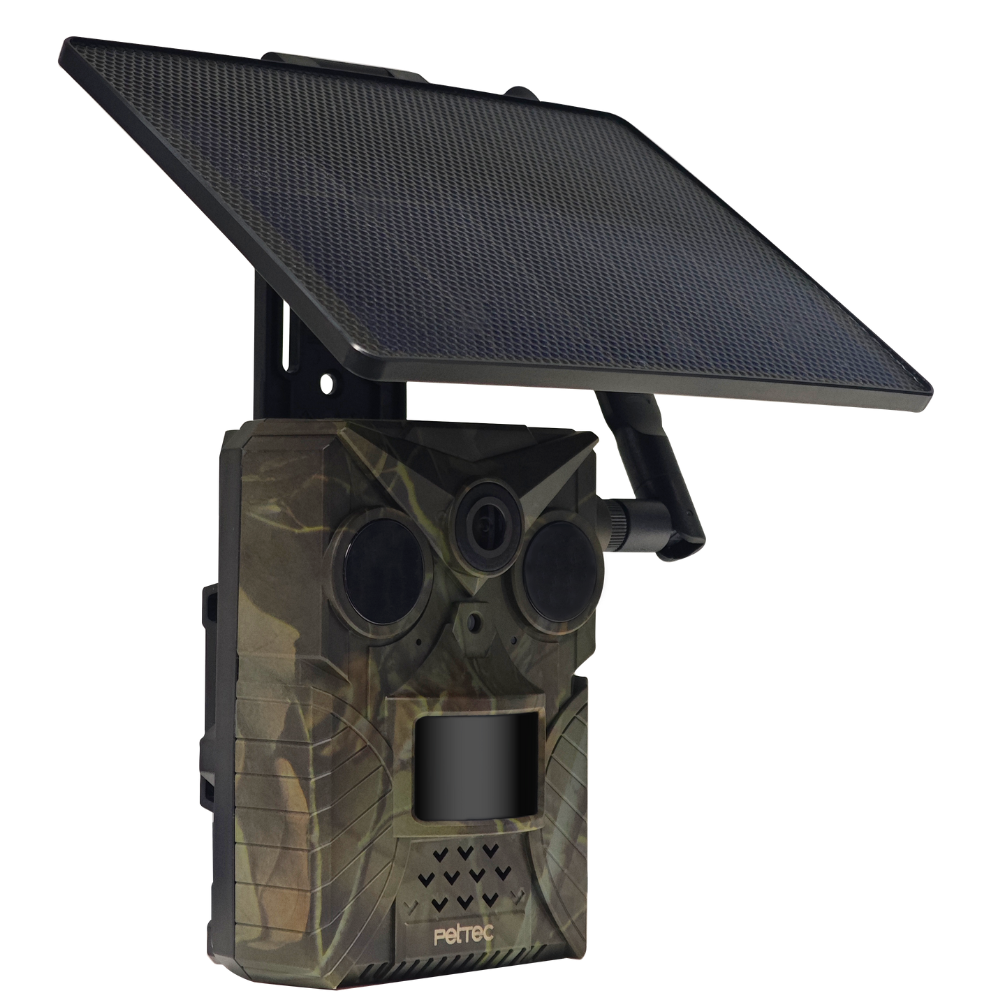 Pet Cam Trail 4G mit Solar Panel