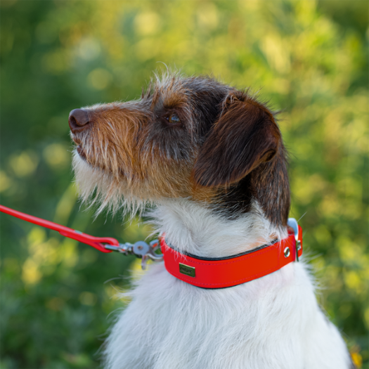 Adopt Me Hundeleine - Lustige Leinenhülle Für Hundeliebhaber (rot)