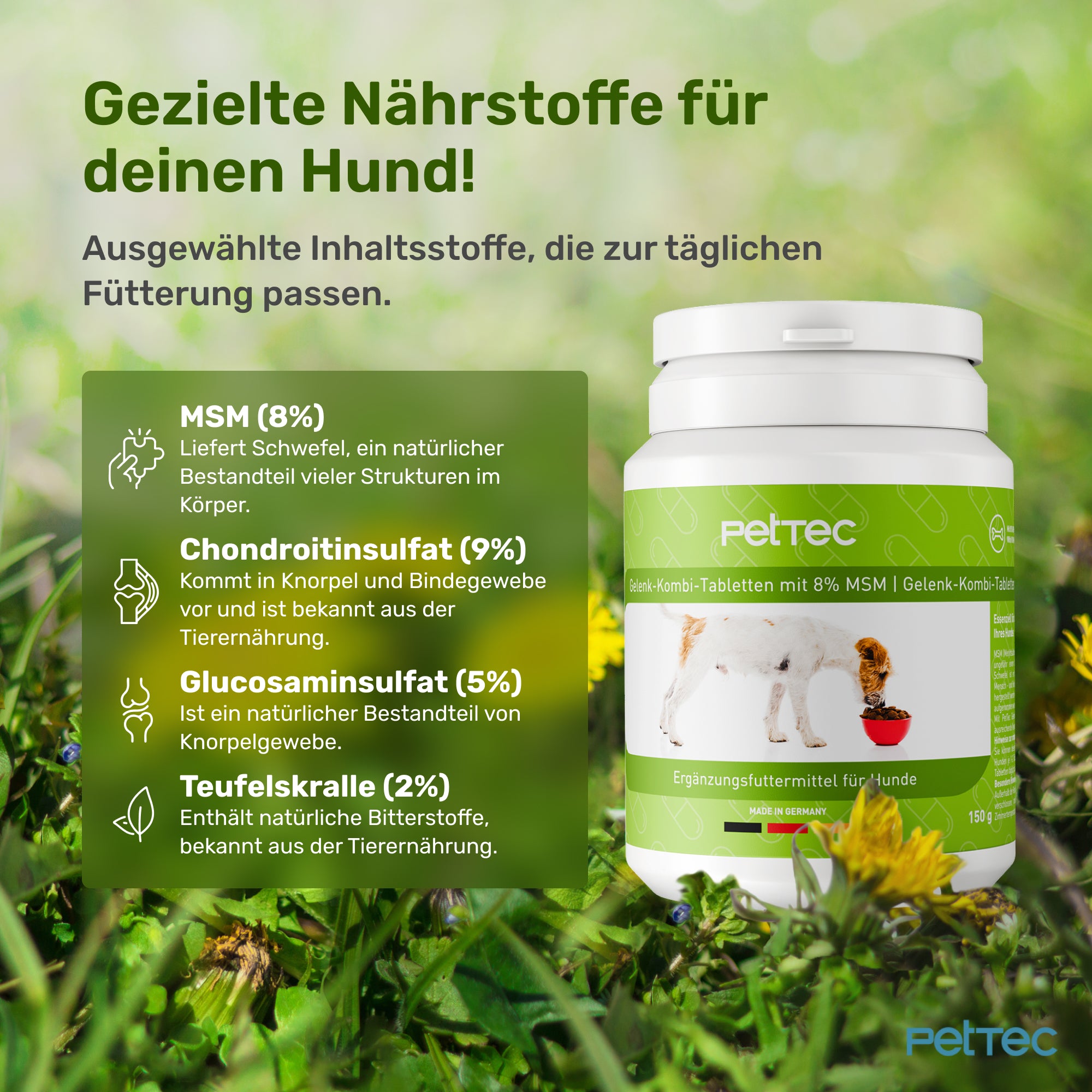 PetTec Gelenktabletten mit MSM