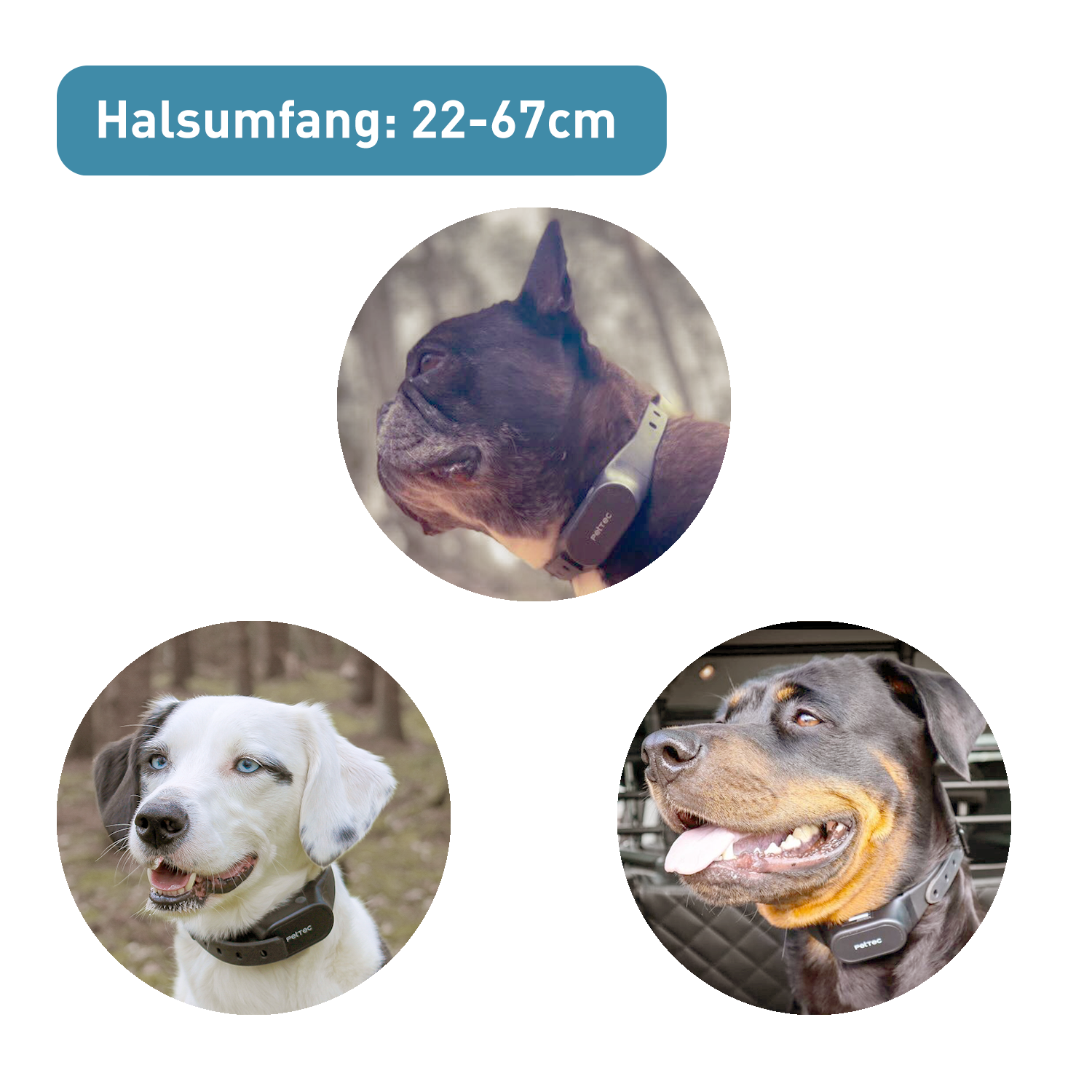 Antibell Vibrationshalband fr Hunde mit Fernbedienung, wasserdicht, 300m Reichweite, 16 Ton- und Vibrationsstufen | Ferntrainer | PetTec Antibell Vibrationshalband fr Hunde mit Fernbedienung, wasserdicht, 300m Reichweite, 16 Ton- und Vibrationsstufen | Ferntrainer | PetTec
