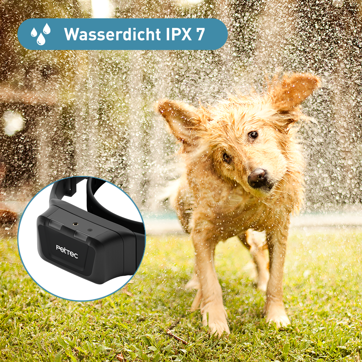 PetTec Antibell Spray- und Ton Trainer Pro inkl. Citronella-Spray