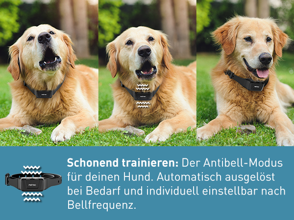 Ersatzhalsband fr Ferntrainer | PetTec Ersatzhalsband fr Ferntrainer | PetTec