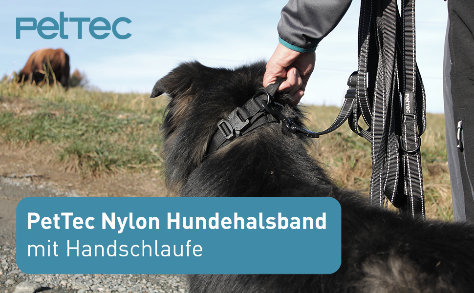 EL-Santos Hundehalsband Neopren & Nylon Mit Griff, Größe L (45-55 Cm), Beige