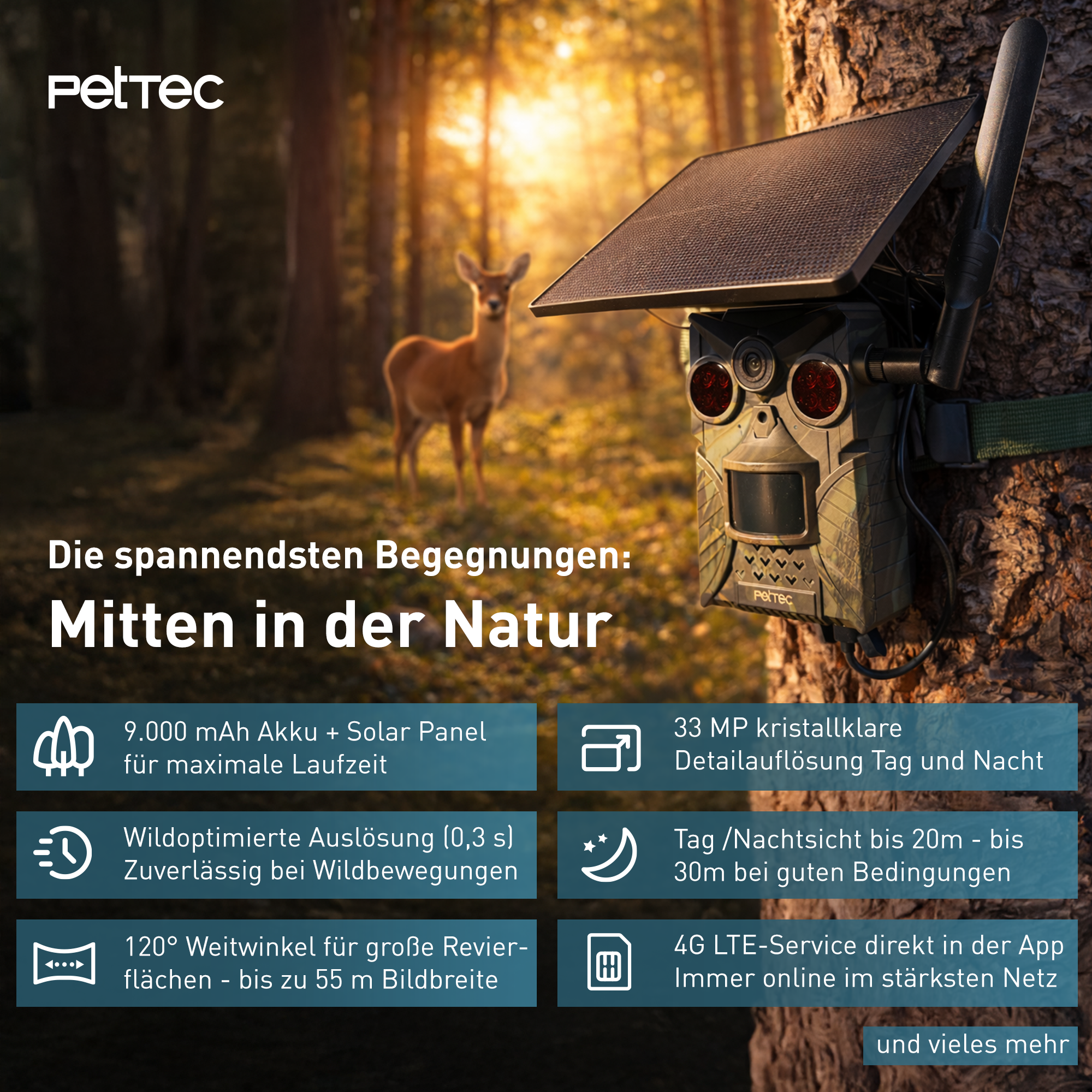 Pet Cam Trail 4G mit Solar Panel