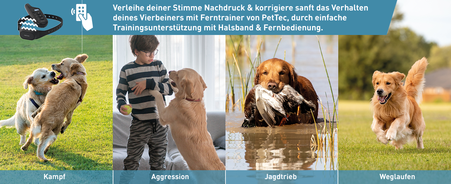 Antibell Vibrationshalband fr Hunde mit Fernbedienung, wasserdicht, 300m Reichweite, 16 Ton- und Vibrationsstufen | Ferntrainer | PetTec Antibell Vibrationshalband fr Hunde mit Fernbedienung, wasserdicht, 300m Reichweite, 16 Ton- und Vibrationsstufen | Ferntrainer | PetTec