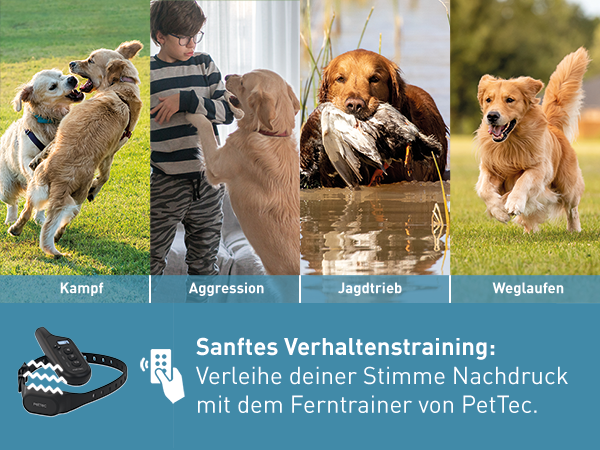 Antibell Vibrationshalband fr Hunde mit Fernbedienung, wasserdicht, 300m Reichweite, 16 Ton- und Vibrationsstufen | Ferntrainer | PetTec Antibell Vibrationshalband fr Hunde mit Fernbedienung, wasserdicht, 300m Reichweite, 16 Ton- und Vibrationsstufen | Ferntrainer | PetTec