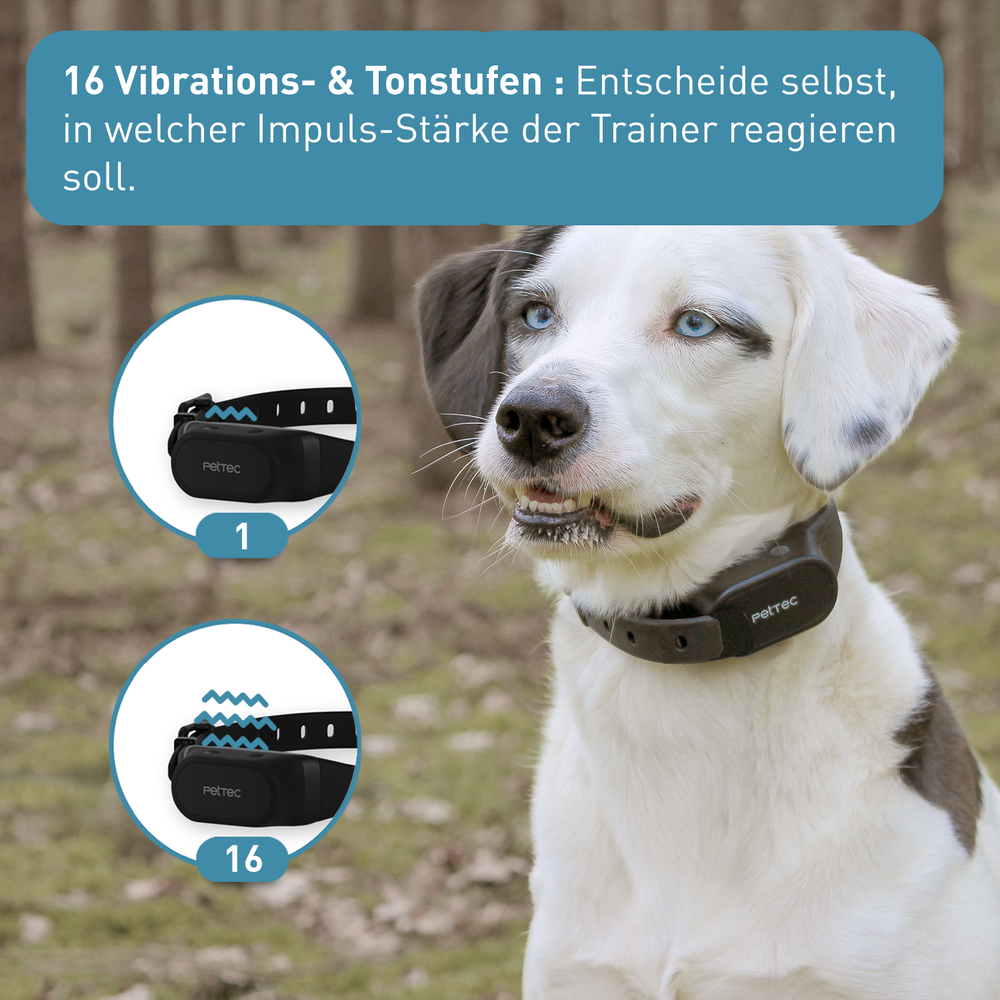 Antibell Vibrationshalband für Hunde mit Fernbedienung, wasserdicht ...