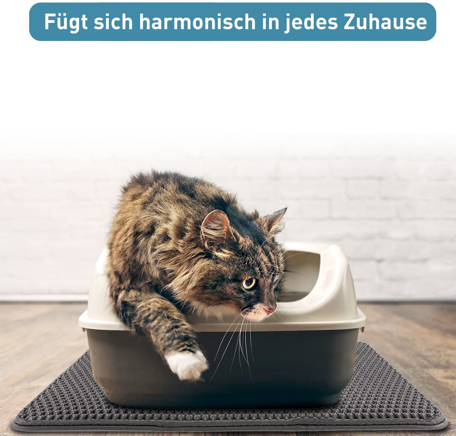 Kaufe EVA Rutschfeste Katzenstreu-Matte, doppelschichtig, Anti